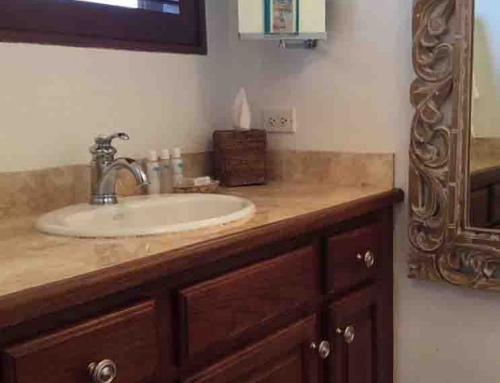 Beach Palm Guest Bathroom Sink