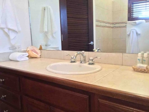 Beach Master Bath Sink