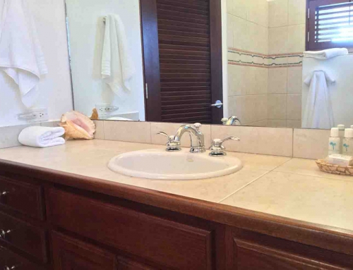 Beach Palm Master Bathroom Sink