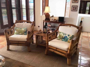 Coconut Palm Living Room Chairs