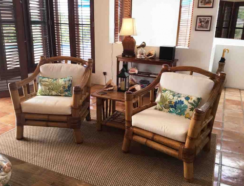 Coconut Living Room Chairs