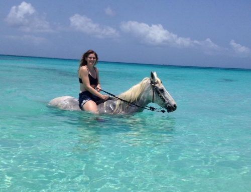 Horseback Riding on Anguilla