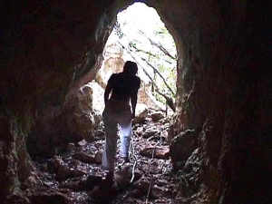 Anguilla caves