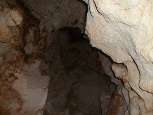 Anguilla caves