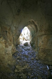 Anguilla caves