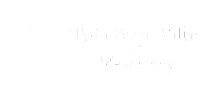 Twin Palms Villas Logo