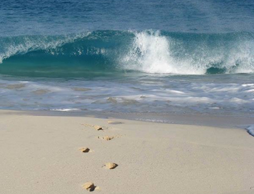 Meads Bay Beach – Photo Credit: Ted Riegel