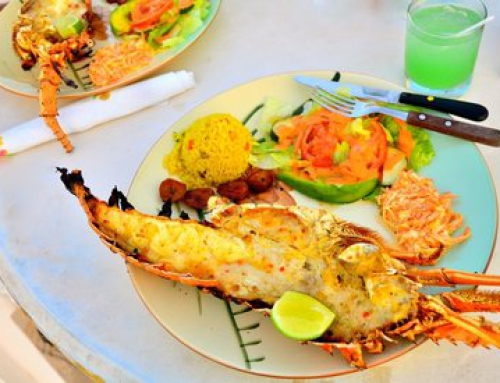 Anguilla Lobster – Photo Credit: Tracey Gonzalez