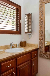 Coconut Palm Guest Bathroom Vanity