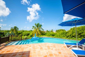 Beach Palm Poolside 3